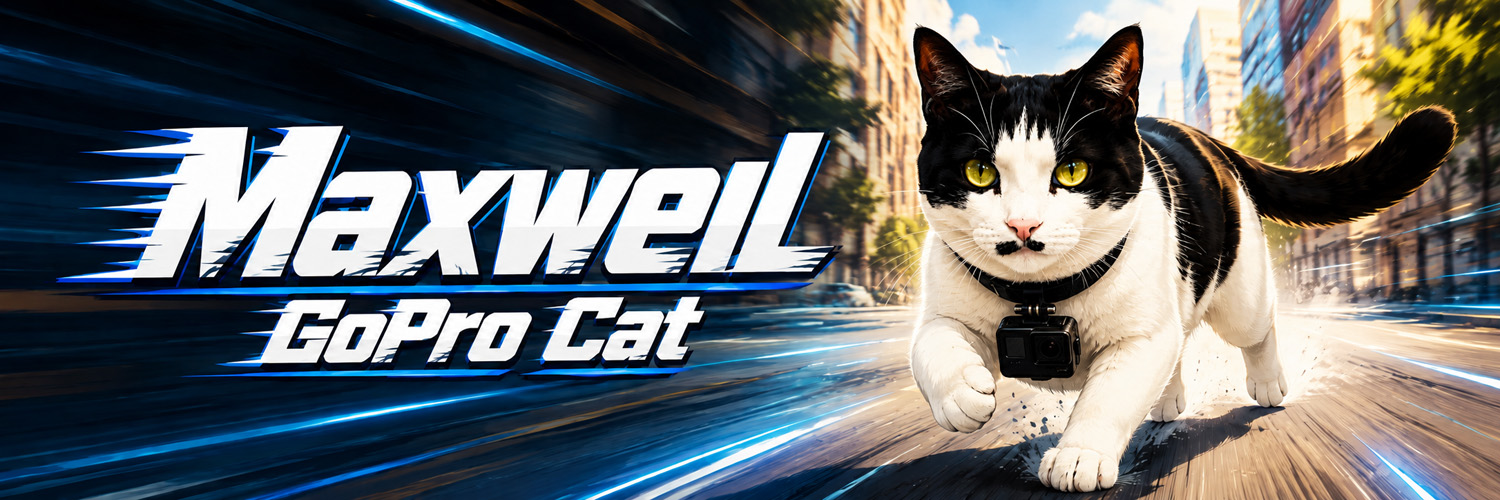 Maxwell the GoPro Cat